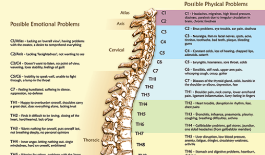 Spine Poster — Digital Download A2