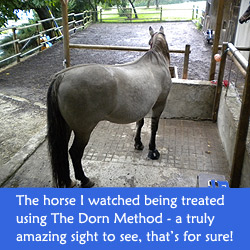 Would you believe it, Dorn Method for Horses!